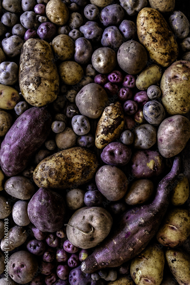 bodegón de patatas papas fondo negro bodegón de patatas papas fondo negro