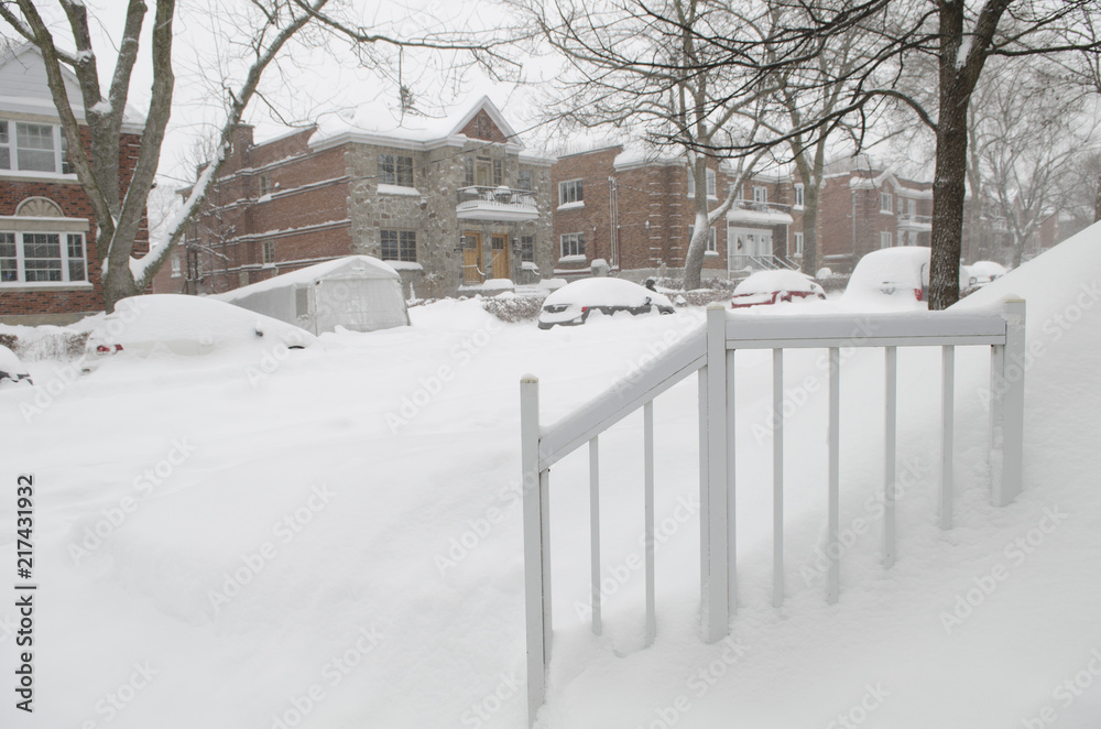 Fototapeta premium Journée enneigée dans un quartier résidentiel de Montréal