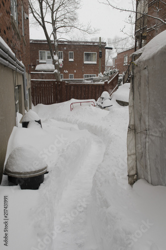 Journée enneigée dans un quartier résidentiel de Montréal © flopigeyre