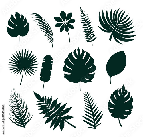 Leaves Silhouette Collection Vector Illustration
