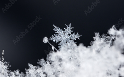 winter card, photo real snowflakes on snow