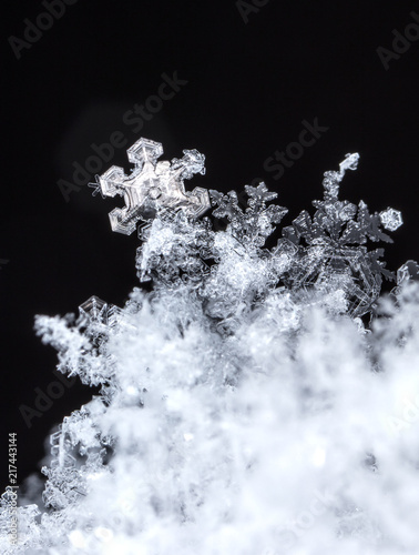 winter card, photo real snowflakes on snow
