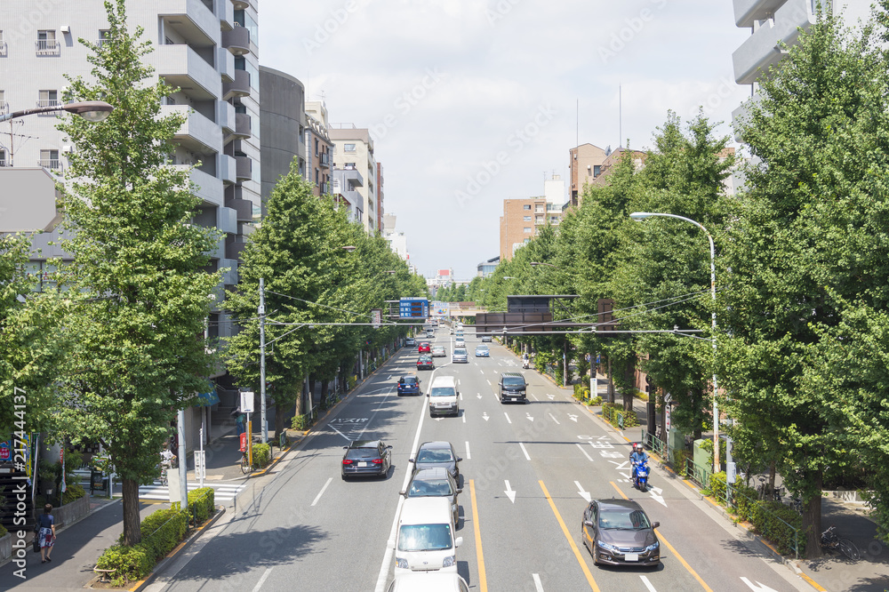 Obraz premium 車が行き交う青梅街道（東京都杉並区）