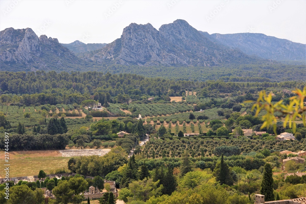 Obraz premium provence