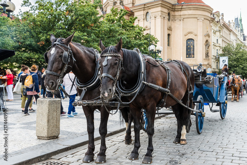 Pferdekutschen auf dem Altstädter Ring in Prag © majonit