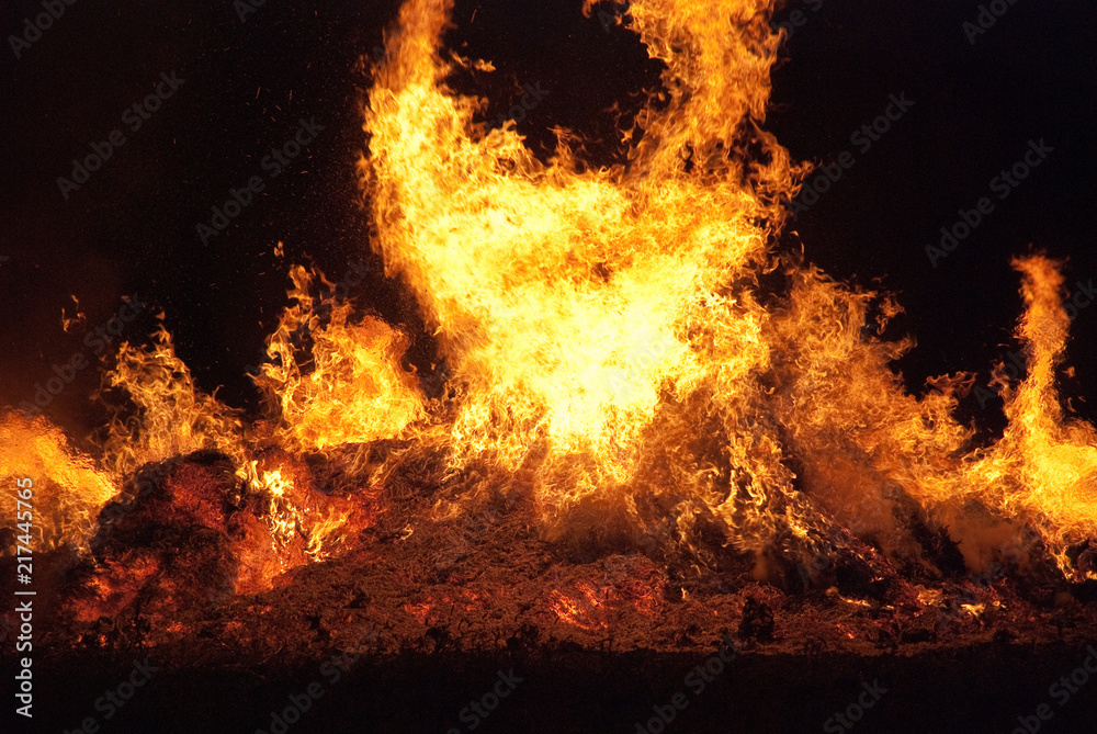 Brûlage des vieilles lavandes sur le Plateau de Valensole
