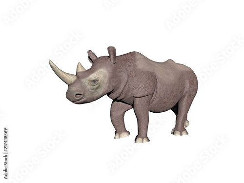 Nashorn als Dickh  uter