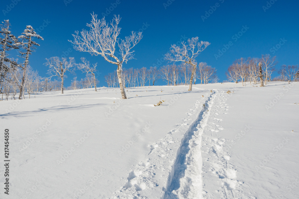 Obraz premium 冬の雪原