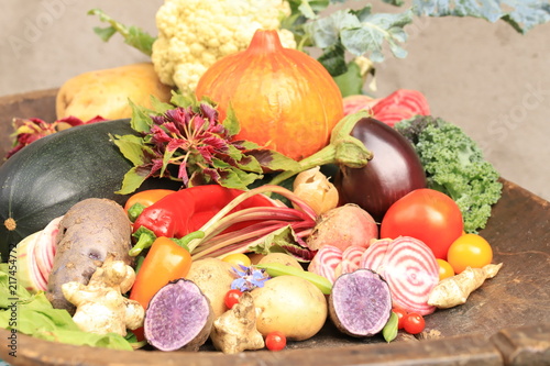 Fresh vegetables from the garden photo