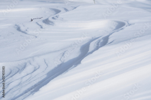 雪の模様 © ぜつえん