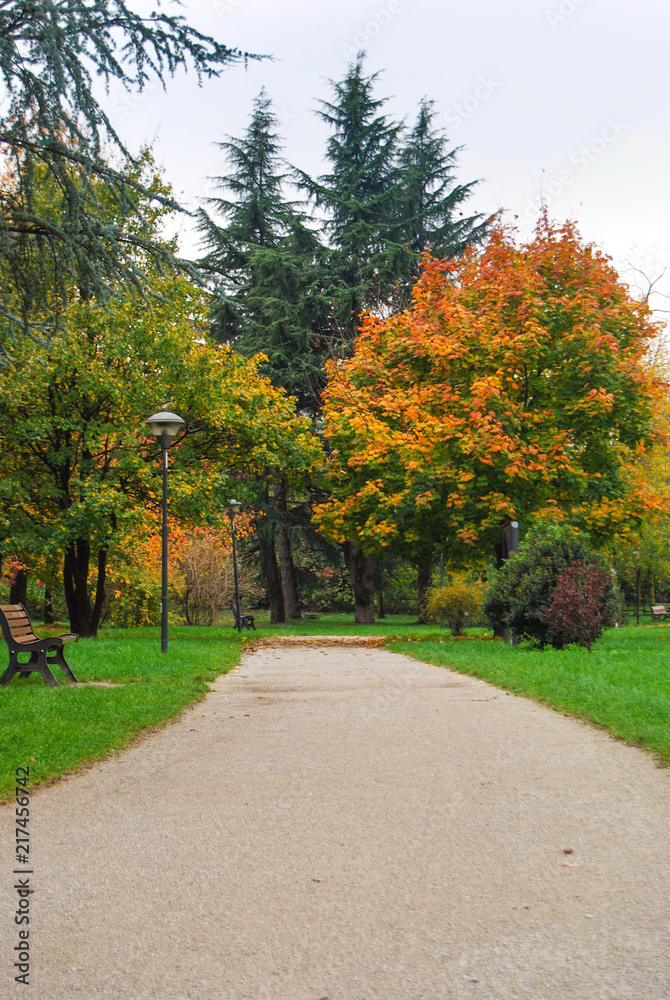 Colorful autumn in the park