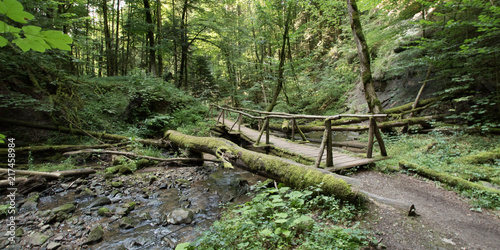 Wieslaufschlucht