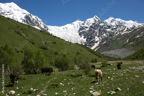 Svaneti mountains in Georgia