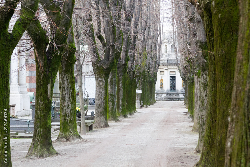 Milano, Italy. 2018/2/8. An alley at the Cimitero Monumentale (