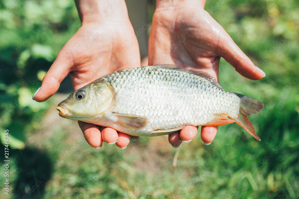 Fisherman holding caught grayling at the river background