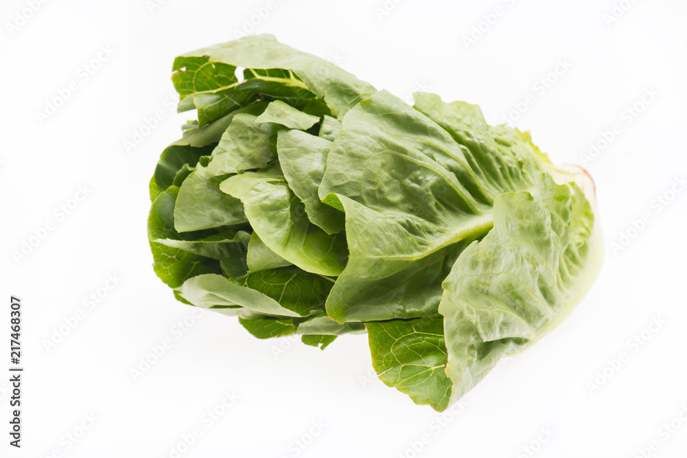 Frischer Salat isoliert auf weißem Hintergrund Frischer Salat isoliert auf weißem Hintergrund