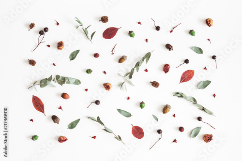 Autumn composition. Pattern made of eucalyptus branches, rose flowers, dried leaves on white background. Autumn, fall concept. Flat lay, top view