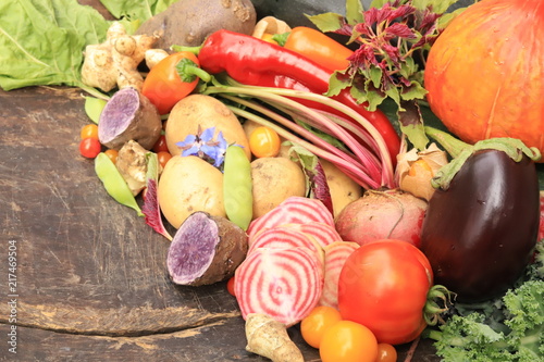 Fresh vegetables from the garden photo