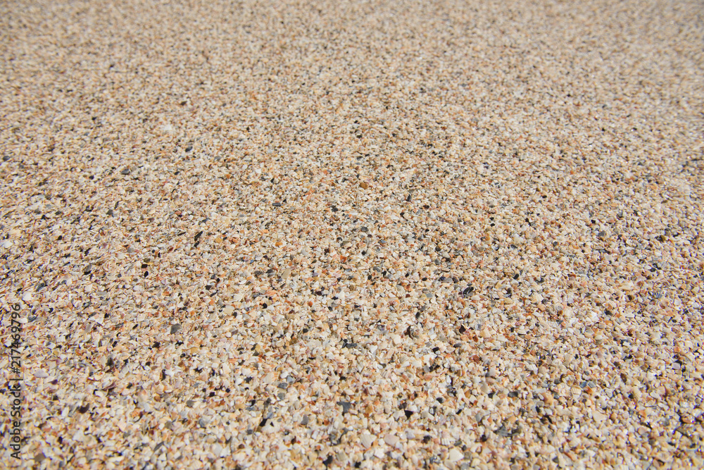 Close up macro of many small yellow seashells Close up macro of many small yellow seashells