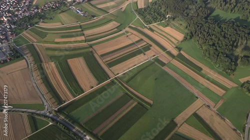 Aerial view from a balloon ride, Black Forest photo