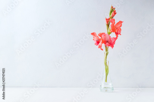Pink flowers in a vase on a light background