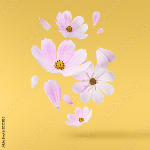 Beautiful flying pastel pink flowers