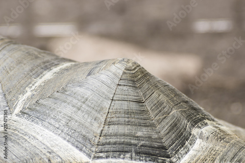Bacground texture. Tourtle shell pattern photo