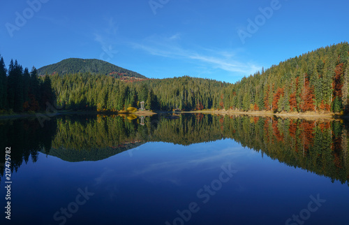 Forest is reflected in calm water at autumn day the leaf fall.