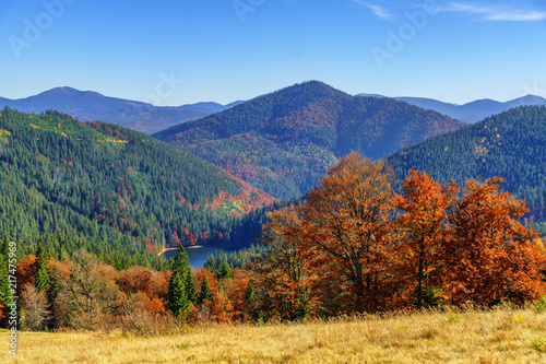 Fototapeta Naklejka Na Ścianę i Meble -  Synevir high altitude lake and forested mountains at autumn day.