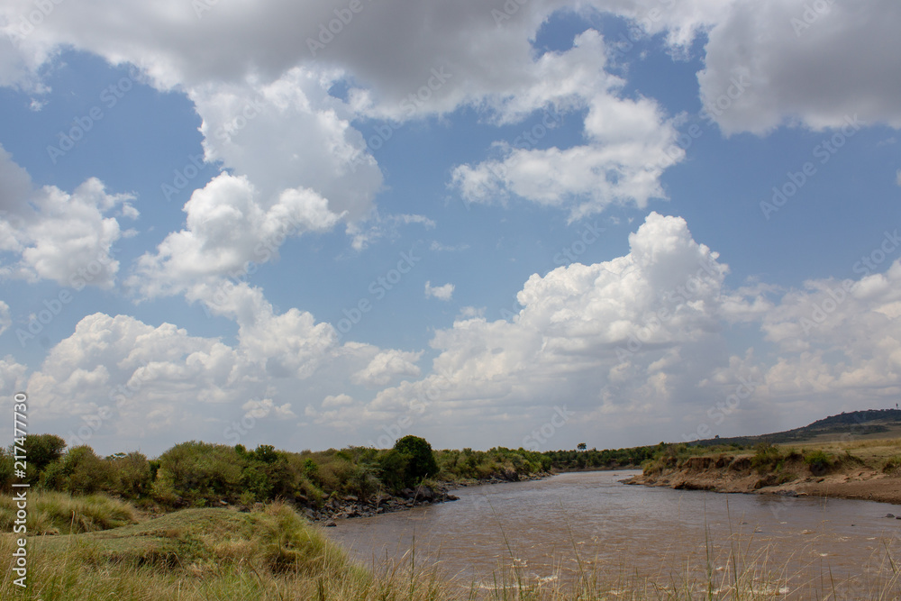 Obraz premium Mara River Kenya