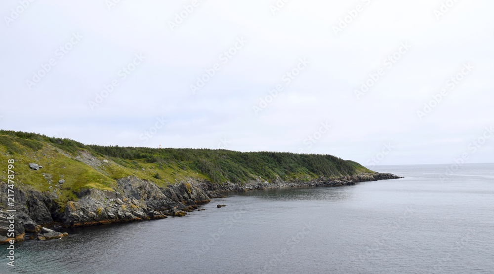 landscape around the Irish Loop; coastline  along Ferryland Head with the Lighthouse, Avalon Peninsula Newfoundland, Canada