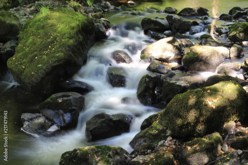 Long Exposure into the wild