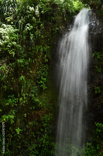 Toraille waterfall in Saint Lucia
