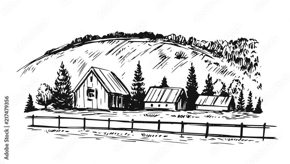 Rural landscape. Hand drawn illustration converted to vector