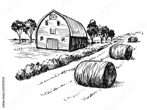 Rural landscape. Hand drawn illustration converted to vector