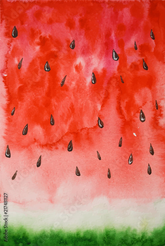 Watercolor watermelon background, paint  texture, vector 