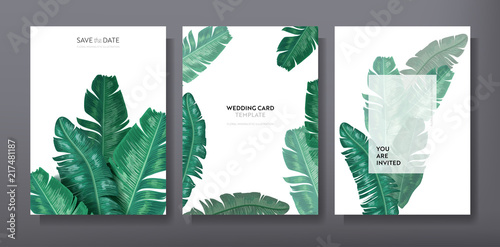 Tropical trendy greeting or invitation card template design, set of poster, flyer, brochure, cover, party advertisement, dark green palm leaves in vector