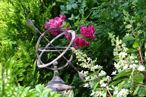 Sundial in the garden next to a rose and bouquet hydrangea