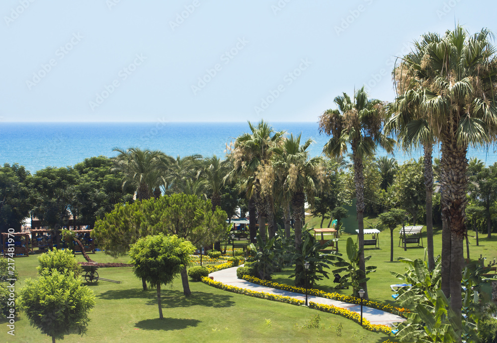 View of the Mediterranean Sea, palms and green park