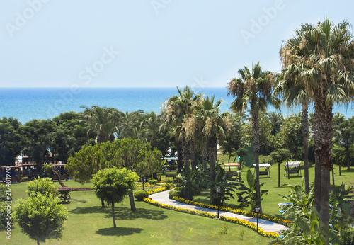 View of the Mediterranean Sea, palms and green park