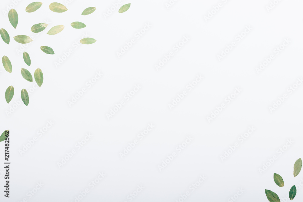 Corner flat lay composition of dry green leaves Corner flat lay composition of dry green leaves