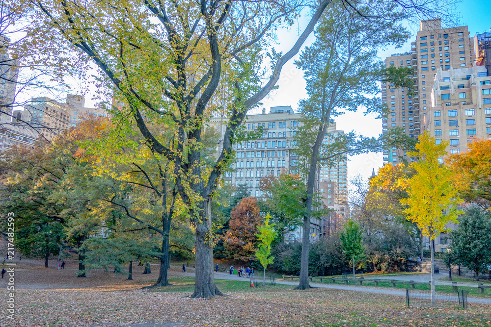 Naklejka premium Autumn Fall time in Central park, New York, USA.