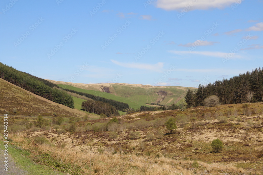 Obraz premium Nature Landscape Background