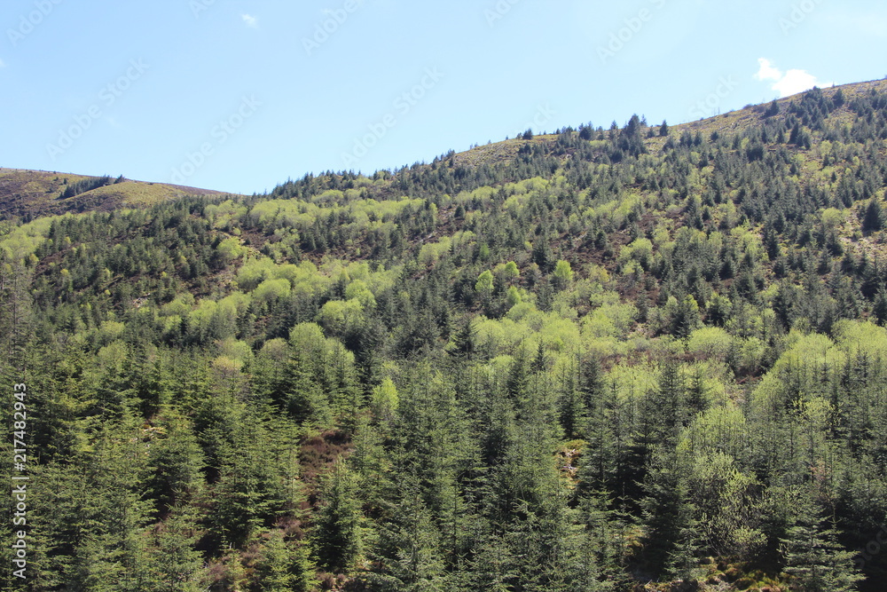 Obraz premium Nature Landscape Background