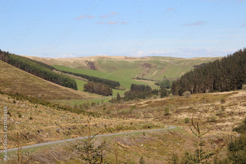 Fototapeta premium Nature Landscape Background