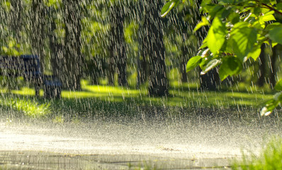 Drops of warm summer rain, falling on the asphalt