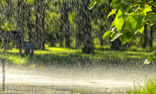 Drops of warm summer rain, falling on the asphalt photo