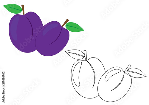 Plums fruit, coloring page. Vector illustration.