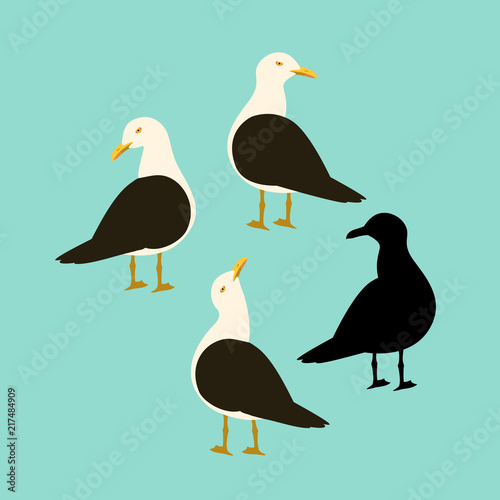 black - backed gull   vector illustration flat style  black silhouette