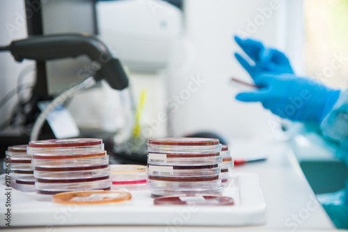 Microbiology research in laboratory